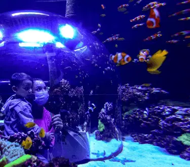 national-aquarium