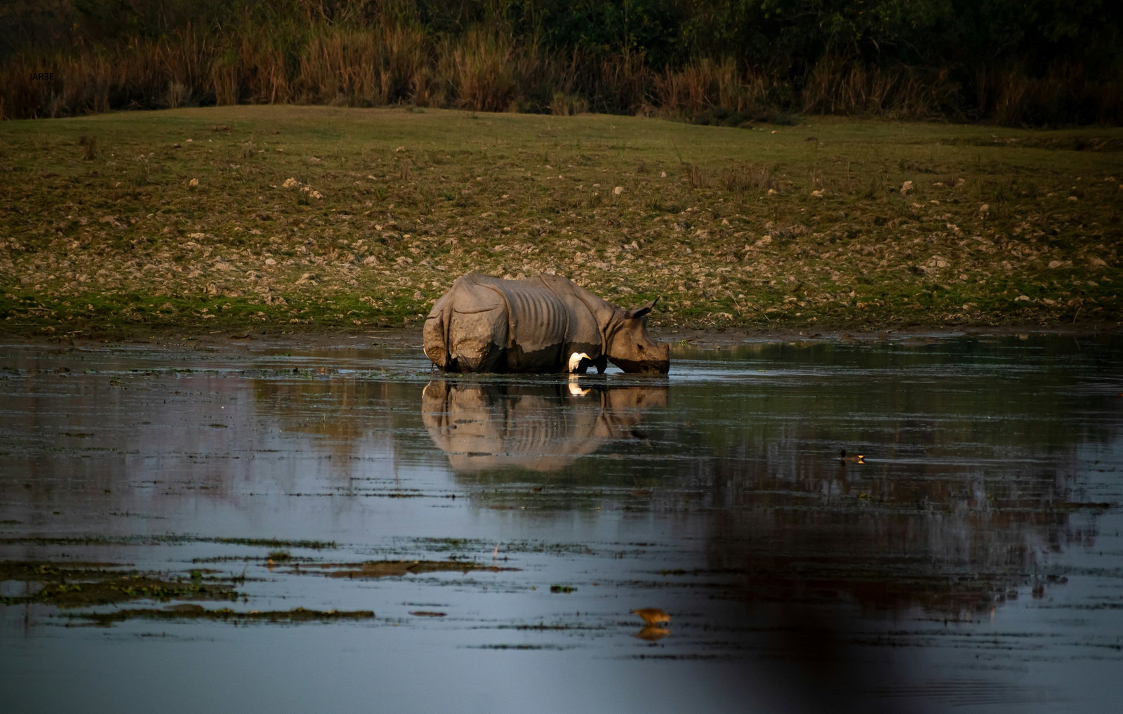 Assam