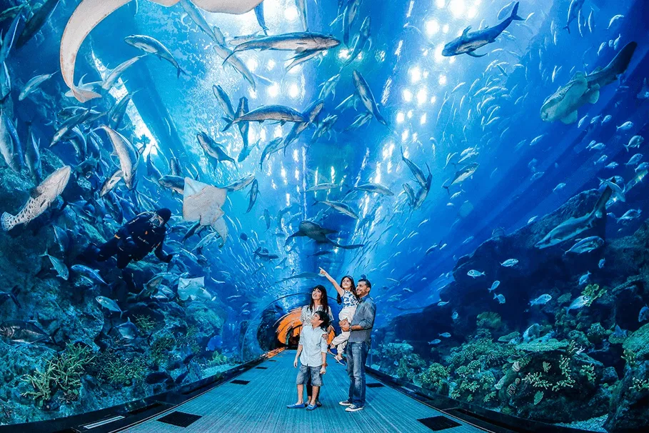 Dubai Aquarium & Underwater Zoo Tickets | Book Tickets | Alikeimage