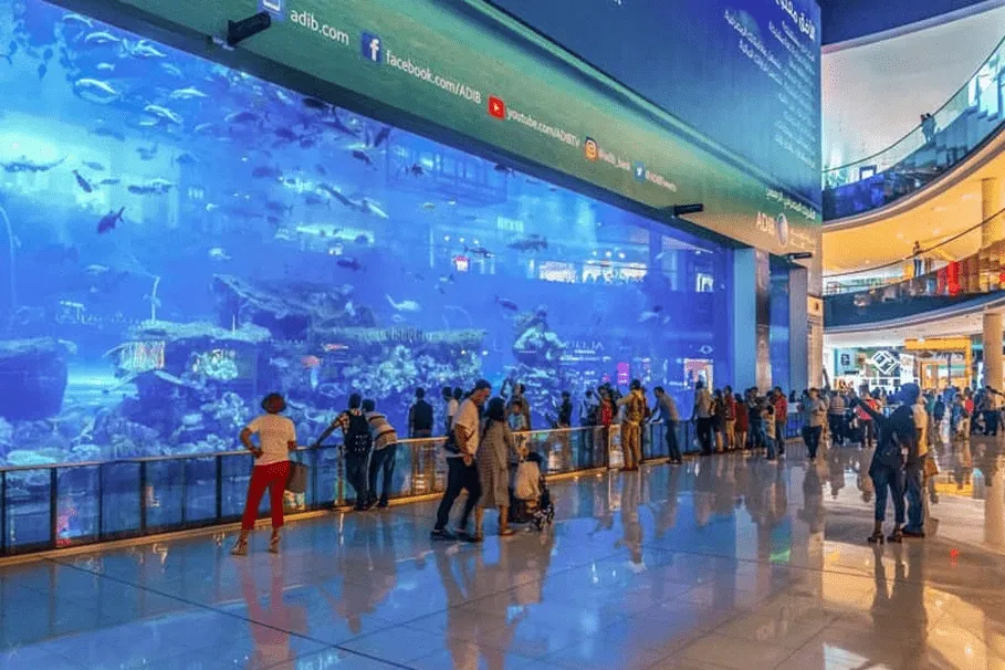 Dubai Aquarium & Underwater Zoo Tickets | Book Tickets | Alikeimage