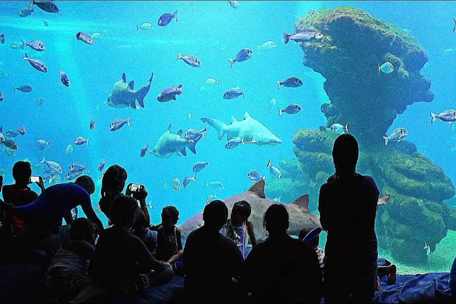 Palma Aquarium | Book Ticket | Alikeimage