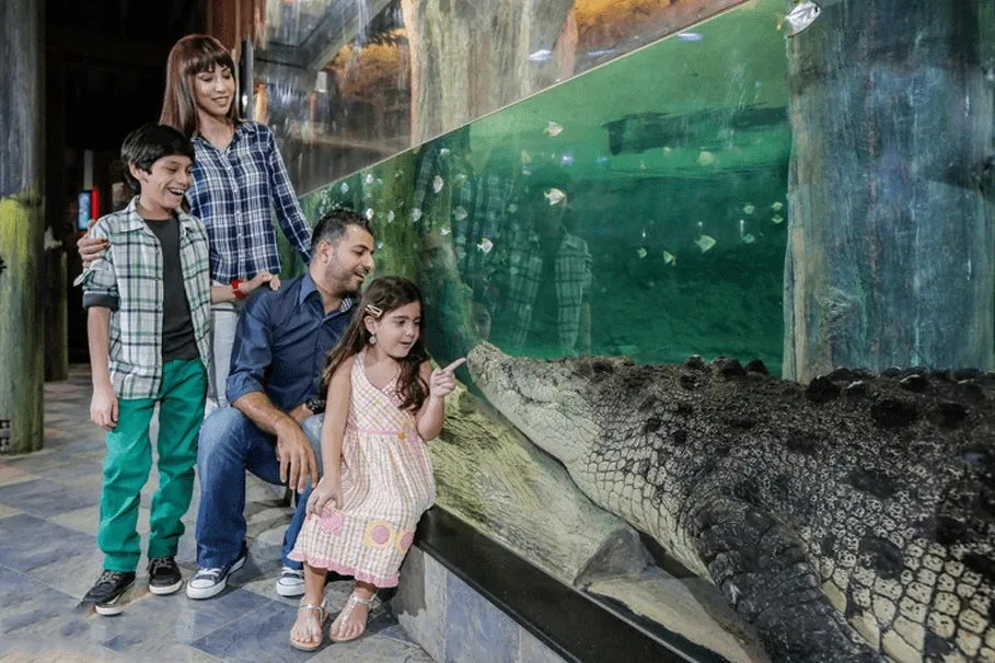 Dubai Aquarium & Underwater Zoo Tickets | Book Tickets | Alikeimage