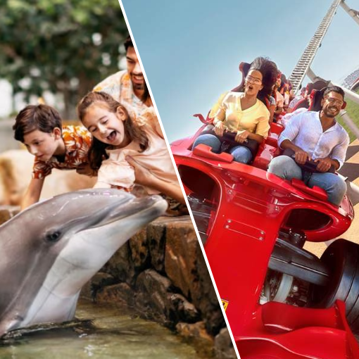 Yas Island Boat Tour (75 Min)