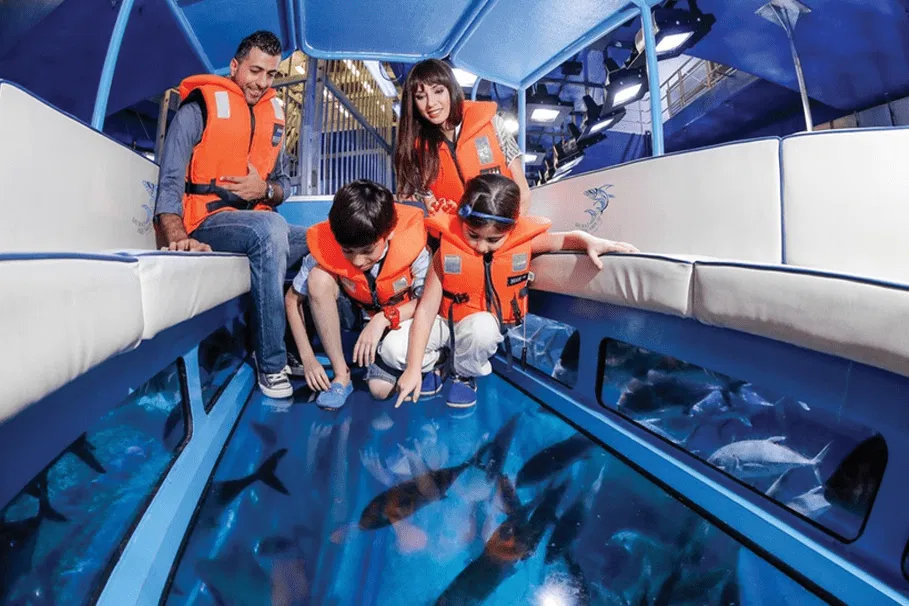 Dubai Aquarium & Underwater Zoo Tickets | Book Tickets | Alikeimage