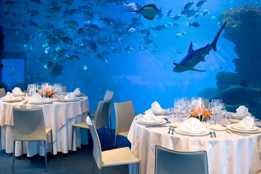 Palma Aquarium | Book Ticket | Alikeimage