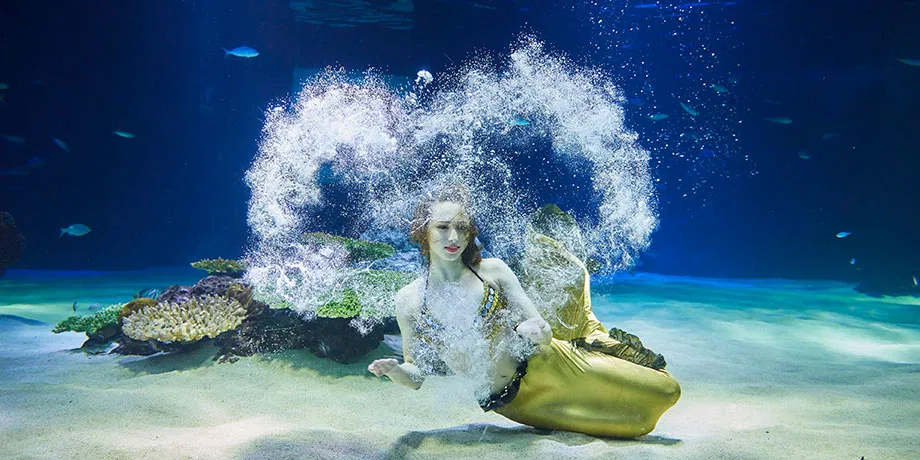 63 Building Observatory + Aqua Planet 63 Combo Ticket
image