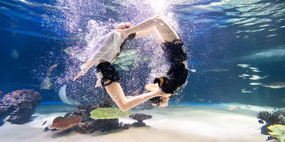 63 Building Observatory + Aqua Planet 63 Combo Ticket
image