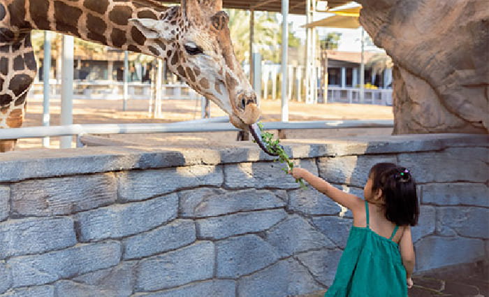Emirates Park Zoo - Explorer Tickets