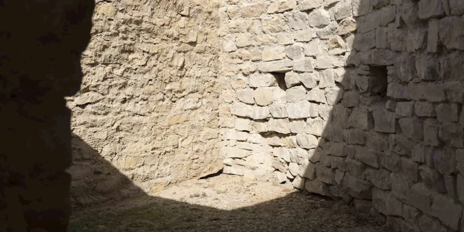 Al Hili Oasis | Book Now | Alikeimage