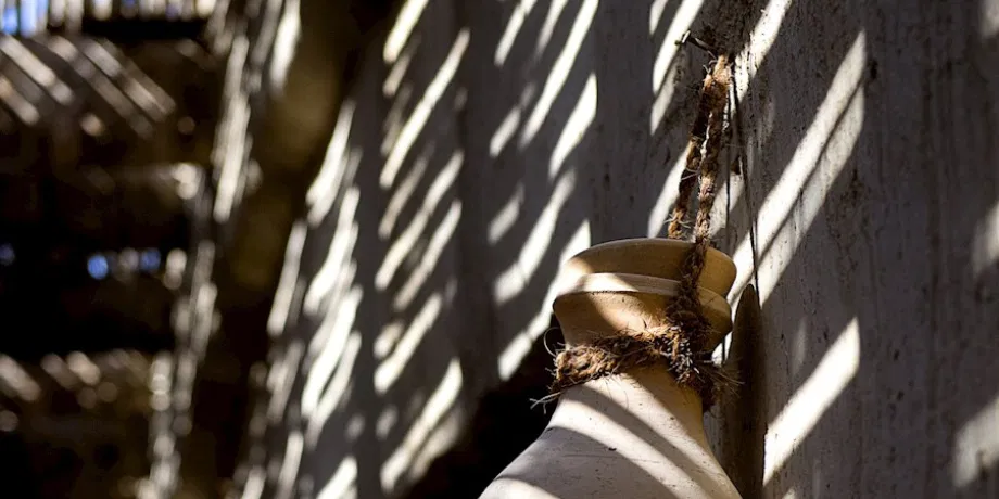 Al Qattara Oasis | Book Now | Alikeimage