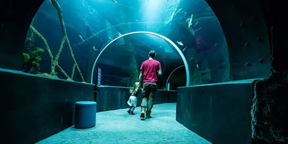 Aquatis Aquarium-Vivarium Entrance Tickets | Book Now | Alikeimage