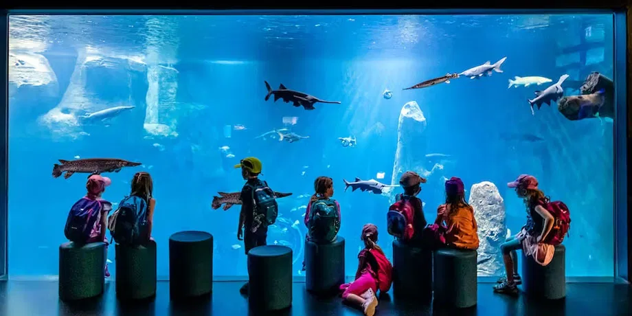 Aquatis Aquarium-Vivarium Entrance Tickets | Book Now | Alikeimage