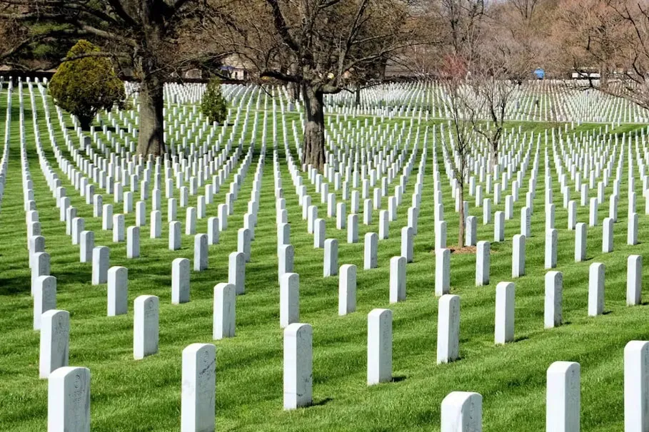 Arlington Cemetery and highlights full-day tour | Book Now  | Alikeimage