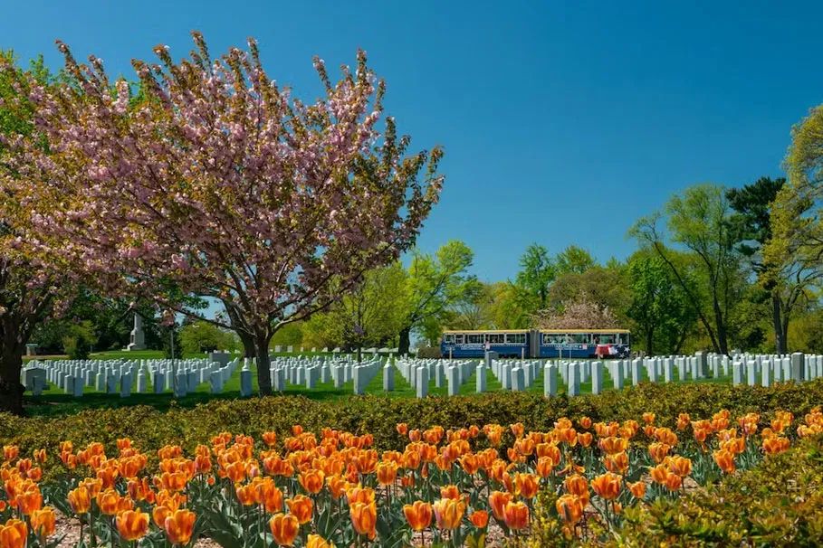 Arlington National Cemetery Tour | Book Now | Alikeimage