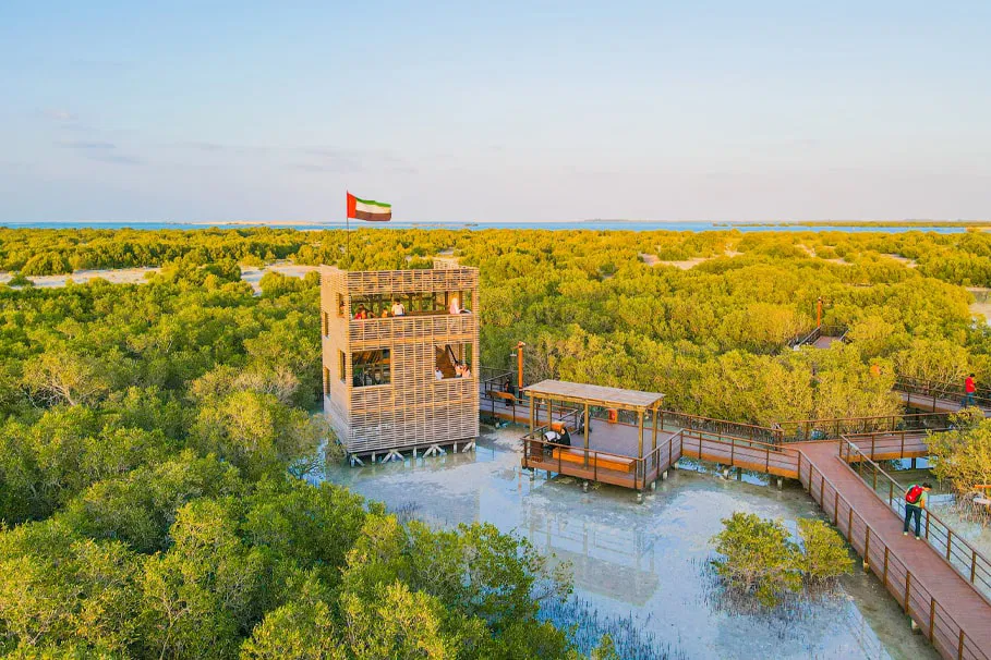 Boardwalk Experience with Ranger at Jubail Island | Book Now | Alikeimage