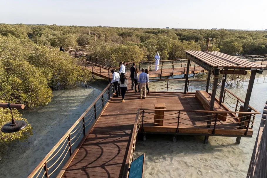 Boardwalk Experience with Ranger at Jubail Island | Book Now | Alikeimage