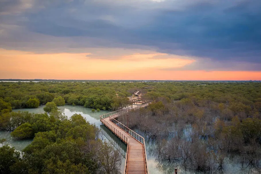 Boardwalk Experience with Ranger at Jubail Island | Book Now | Alikeimage