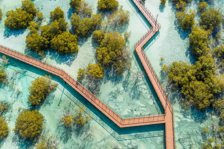 Boardwalk Experience with Ranger at Jubail Island | Book Now | Alikeimage