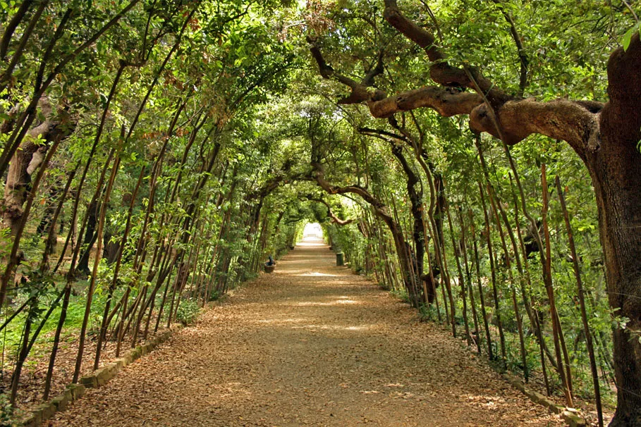 Boboli Gardens guided tour | Tours & Travel Packages | Alikeimage