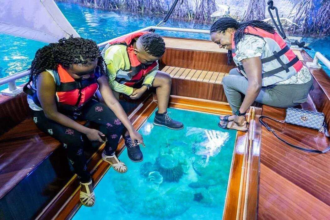 [Early Bird Offer] National Aquarium Abu Dhabi - Admission Ticket