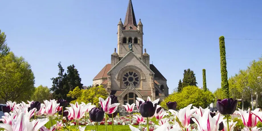 Discover Basel's Most Photogenic Spots with a Local | Book Now | Alikeimage