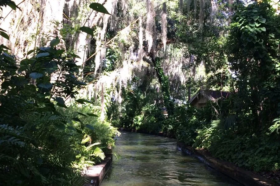 Discover Orlando half-day city tour | Tours & Travel Packages | Alikeimage