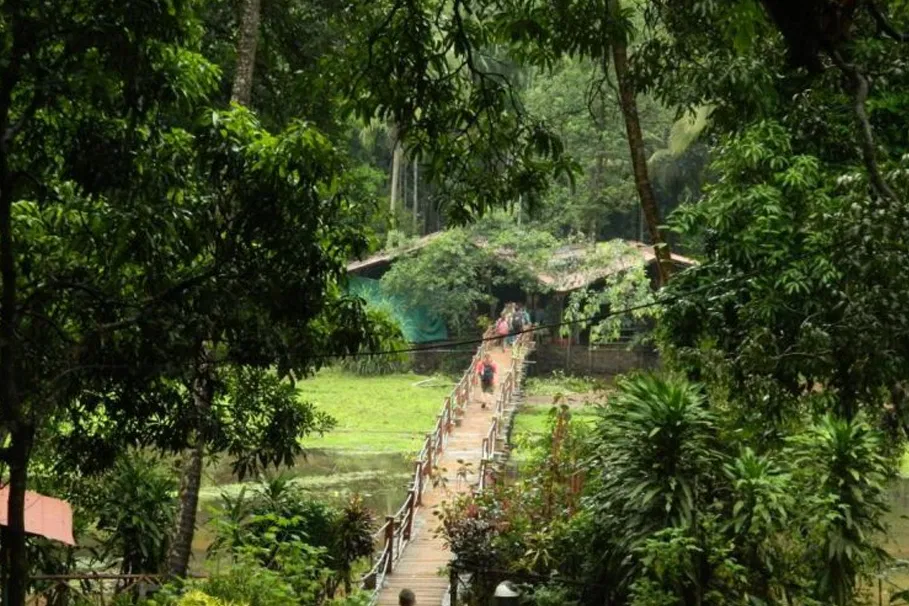 Dudhsagar Waterfalls Full Day Tour | Book Now | Alikeimage