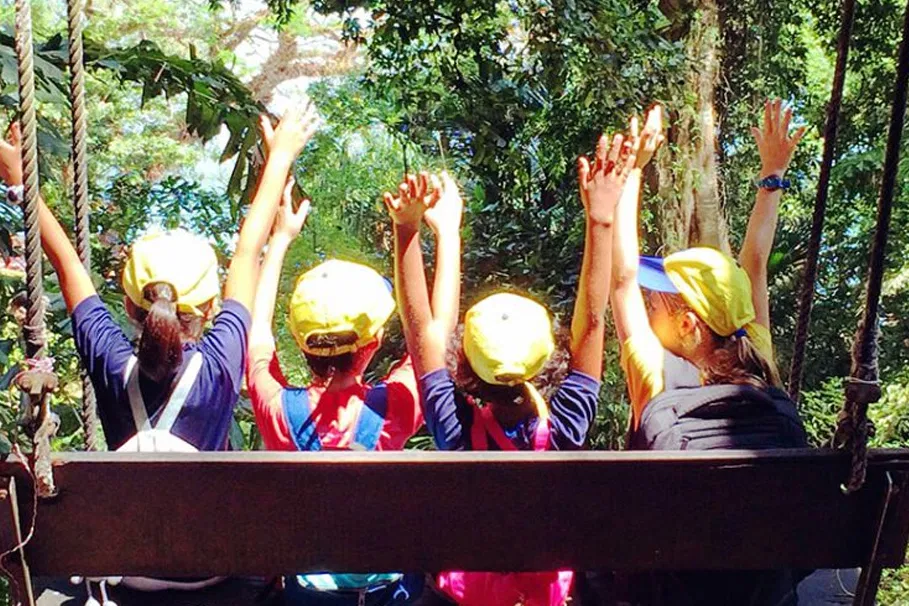 Dudhsagar Waterfalls Full Day Tour | Book Now | Alikeimage