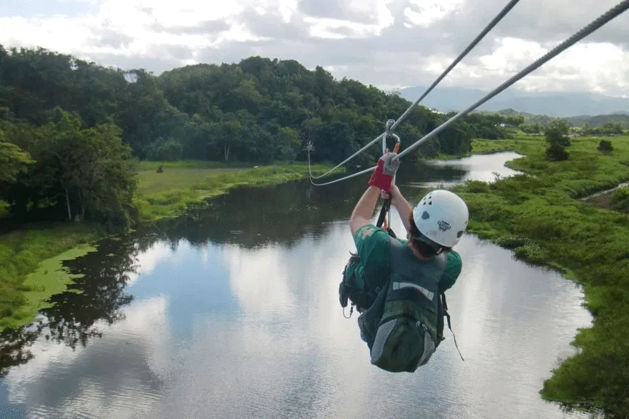 Ecoadventure Ziplining Close to the City | Book Now | Alikeimage