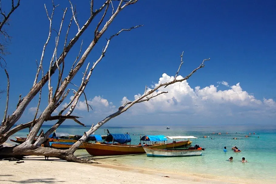Elephant Beach Boat Ride and Snorkeling Experience at Havelock Island | Book Now| Aikeimage