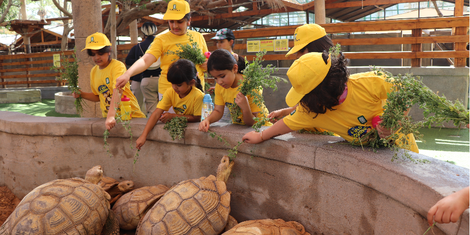 Yas Island Boat Tour (75 Min)