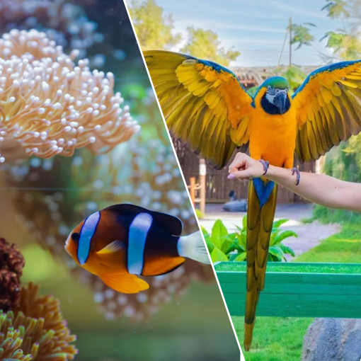 Yas Island Boat Tour (75 Min)