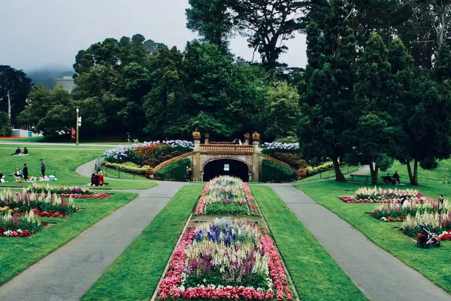 Golden Gate Park Exploration Game And Tour | Book Now | Alikeimage