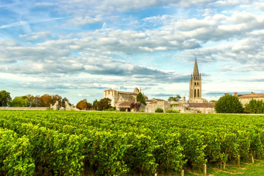 Gourmet city tour of Bordeaux | Tours & Travel Packages | Alikeimage