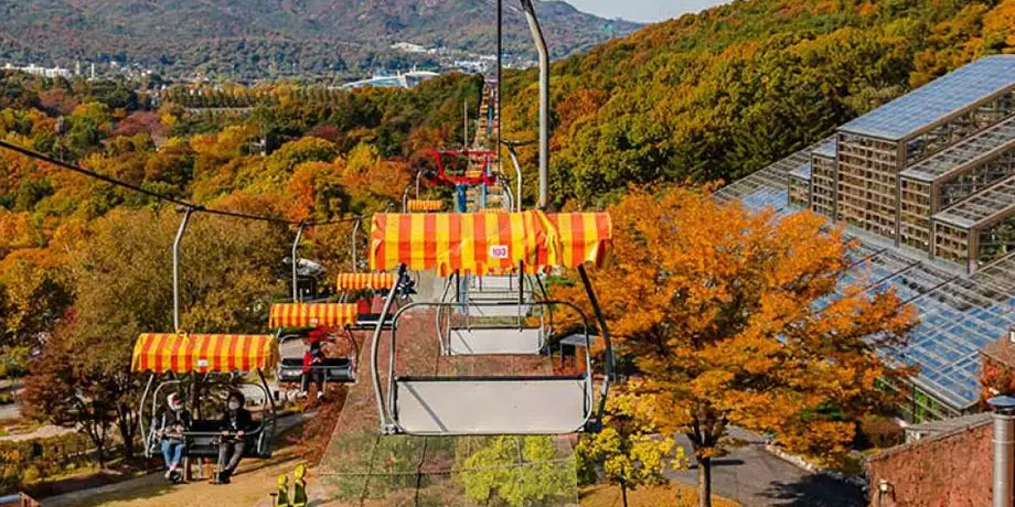 Seoul Zoo + Sky Lift Combo Ticket | Book Now | Alikeimage
