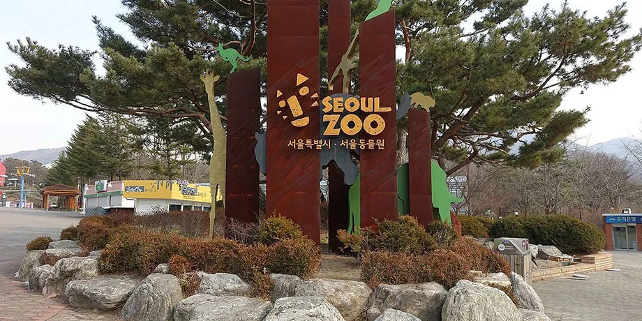 Seoul Zoo + Sky Lift Combo Ticket | Book Now | Alikeimage
