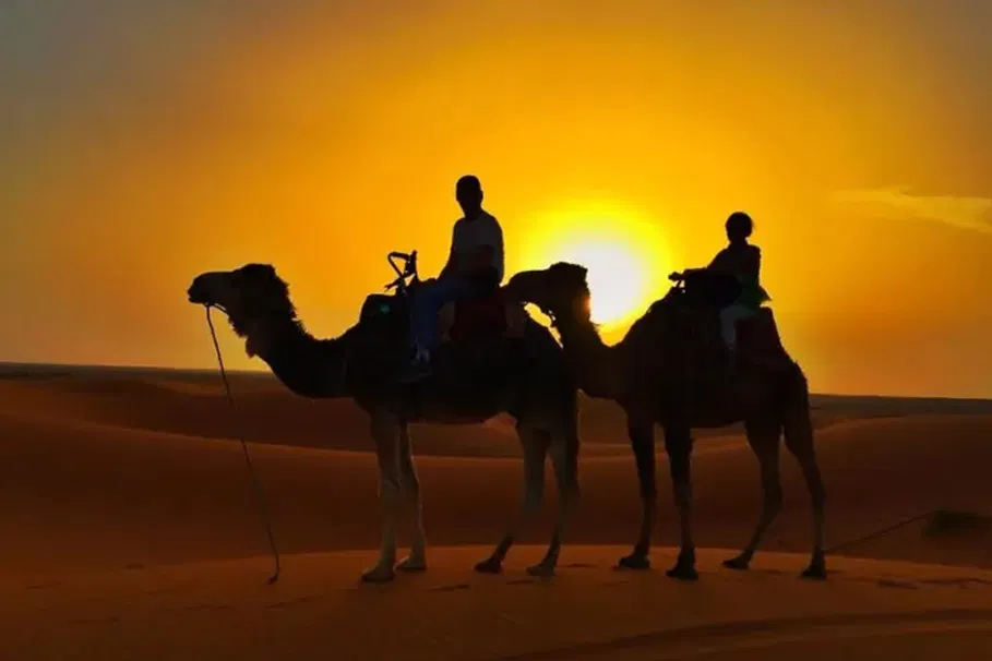 Jaisalmer Camel Safari Tour | Tours & Travel Packages | Alikeimage