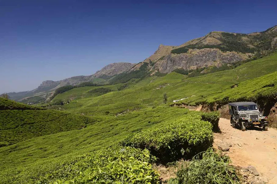 Jeep Safari to Kolukkumalai - Off Road 4 Wheel Drive | Book Now | Alikeimage