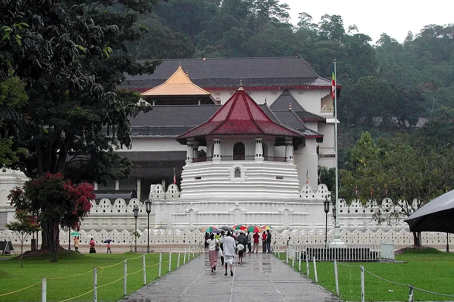 Kandy day tour from Colombo | Book Now | Alikeimage