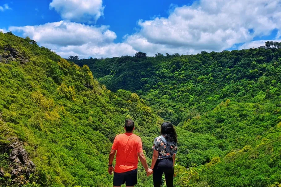 Lakshmi Hills Trekking from Munnar | Book Tickets | Alikeimage