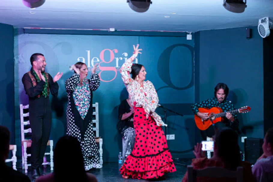 Málaga flamenco show and tablao flamenco Alegría | Tours & Travel Packages | Alikeimage