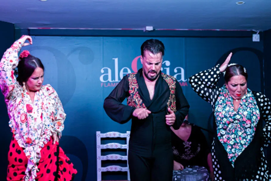 Málaga flamenco show and tablao flamenco Alegría | Tours & Travel Packages | Alikeimage