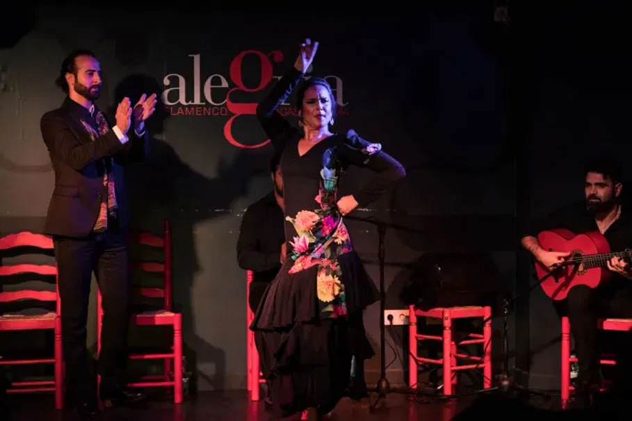 Málaga flamenco show and tablao flamenco Alegría | Tours & Travel Packages | Alikeimage