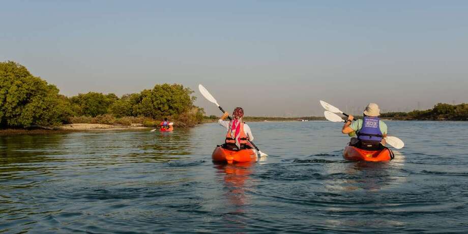 Mangrove Kayaking Tour with Hotel Transfer | Book Now | Alikeimage