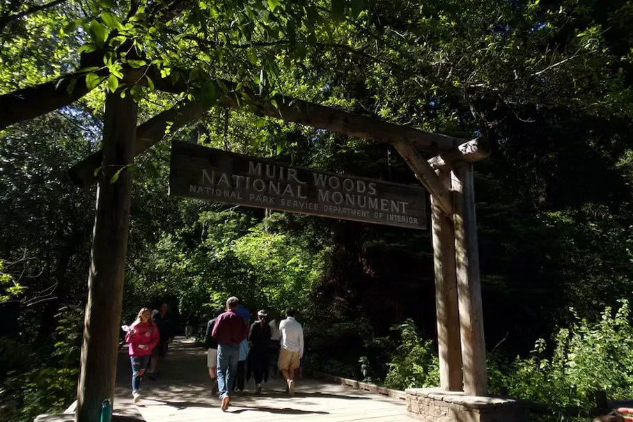 Muir Woods And Sausalito Tour With Alcatraz Tickets | Book Now | Alikeimage