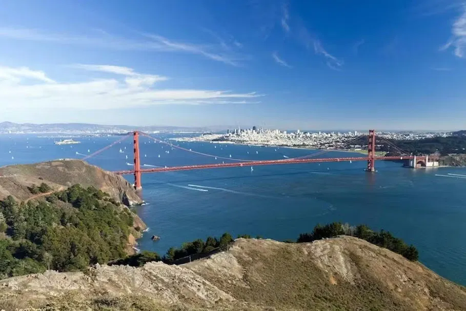 Muir Woods And Sausalito Tour With Bay Cruise | Book Now | Alikeimage