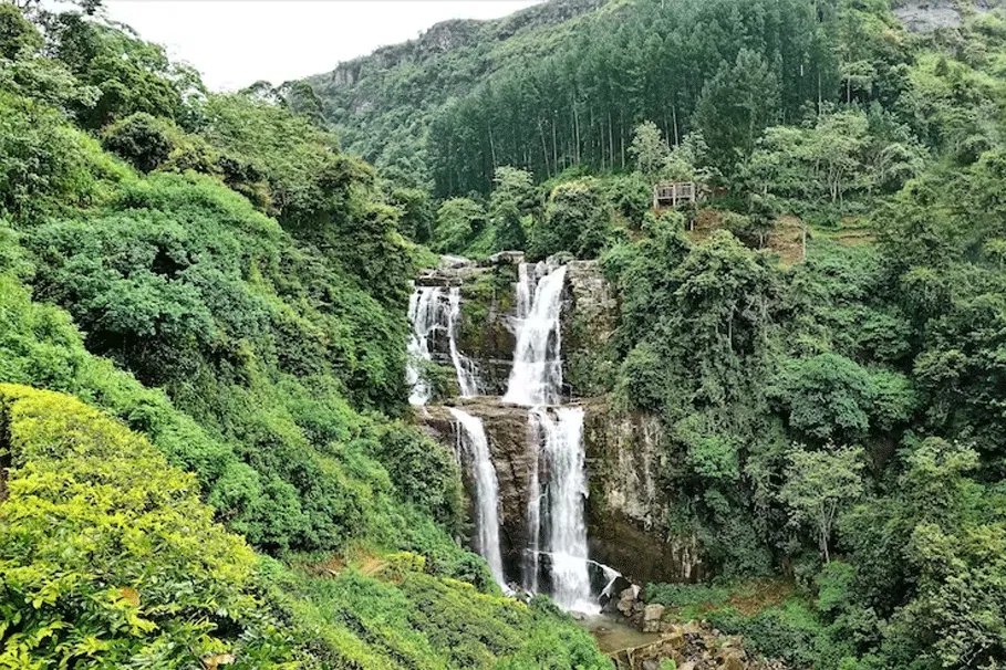 Nuwara Eliya tea route day tour from Colombo | Book Now | Alikeimage