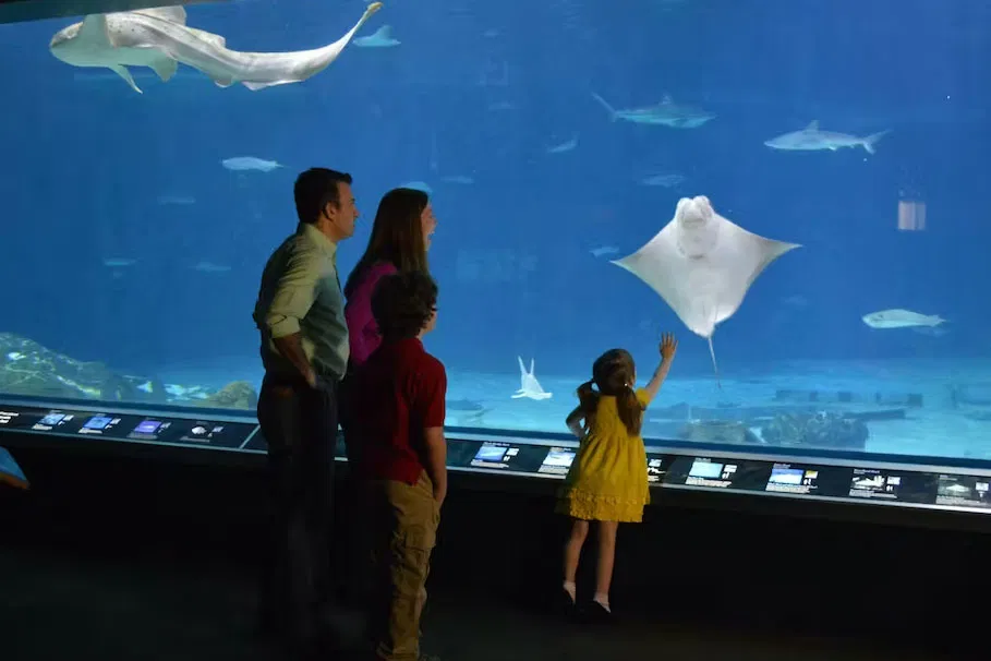 Philadelphia Citypass C3, C4, C5 Tickets | Book Now | Alikeimage