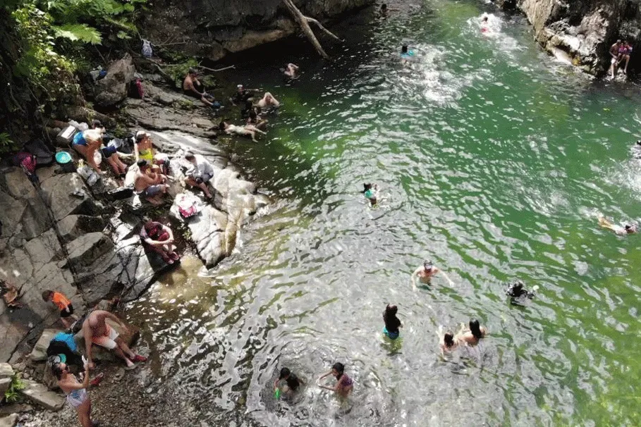 Rainforest Walk, Nature Swim & Luquillo Beach From San Juan | Book Now | Alikeimage