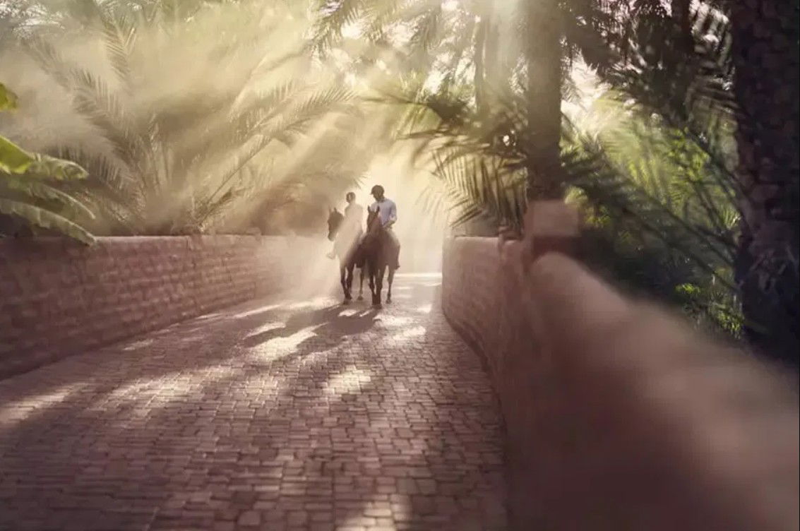 Yas Island Boat Tour (75 Min)